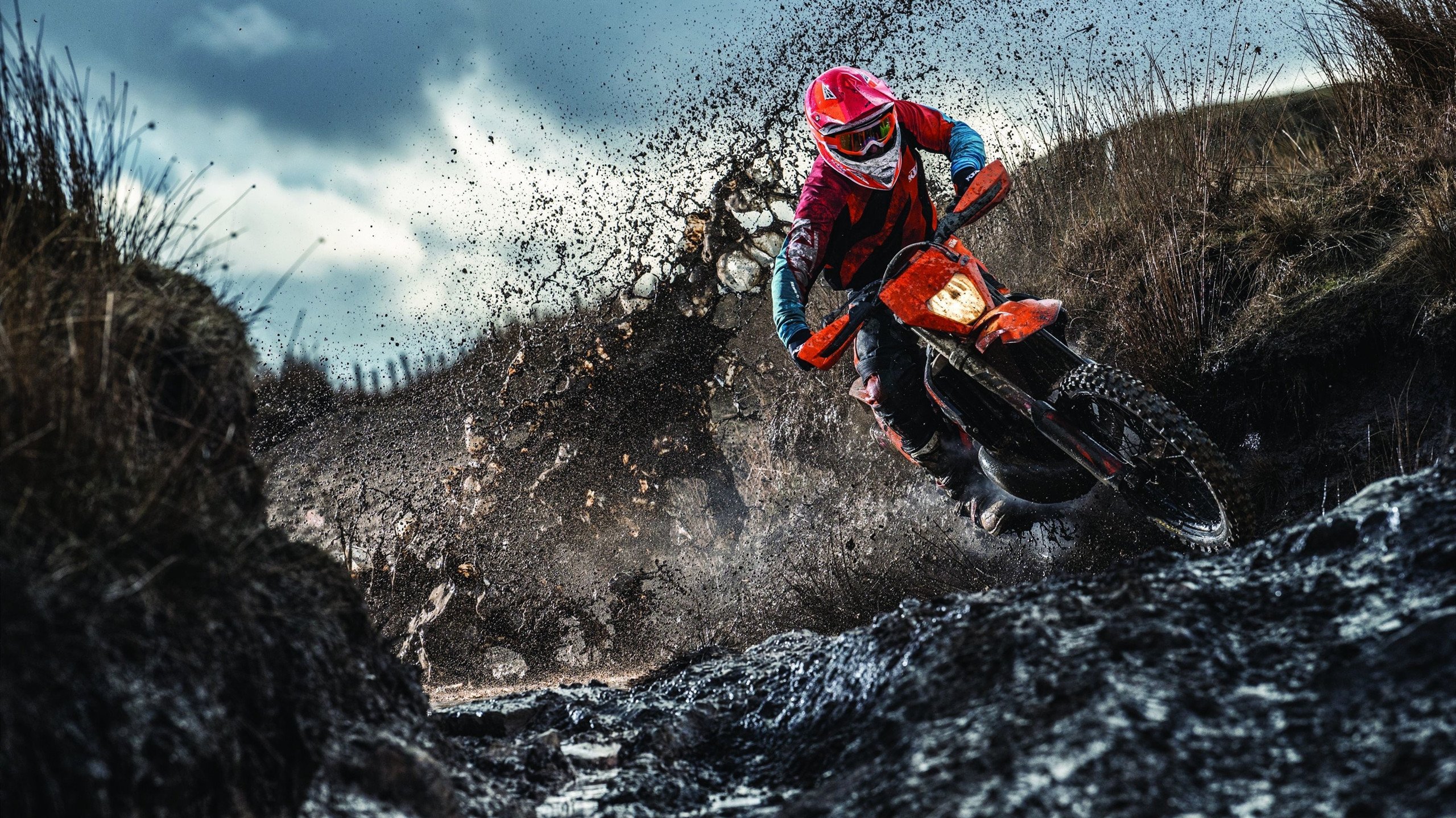 绿茵场与乒乓台的双重奏,葡萄牙完胜德国,许昕高光闪耀